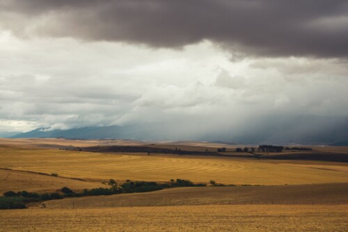 Foto: Jennifer Grube, Pexels